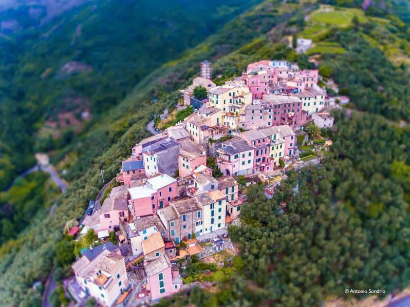 Cinqueterre - Terrace And Beautiful View Daire Levanto Dış mekan fotoğraf